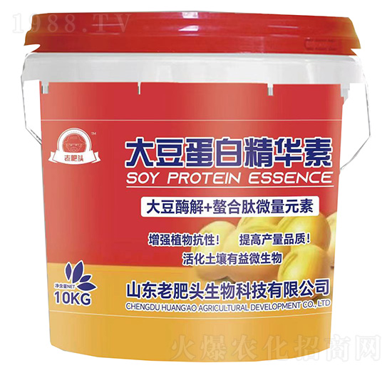 �󶹵��׾��A��-�Ϸ��^