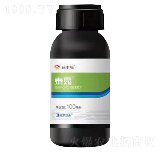 ̩¶�澳����-���S�B-��̩����