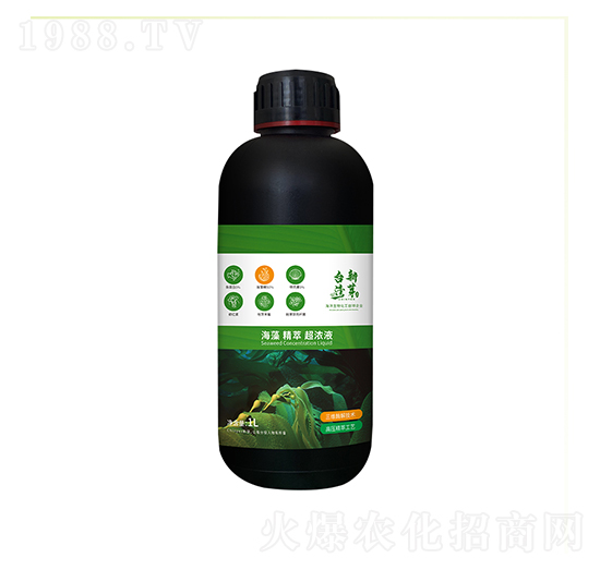 ƿ�b���徫�ͳ���Һ-�_����ѿ