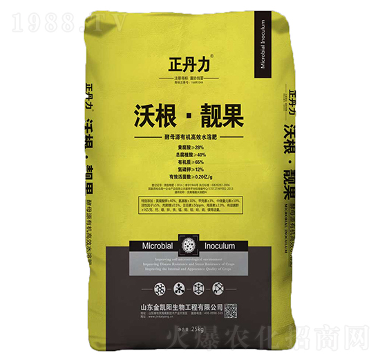 �ָ����n��-������-���P�