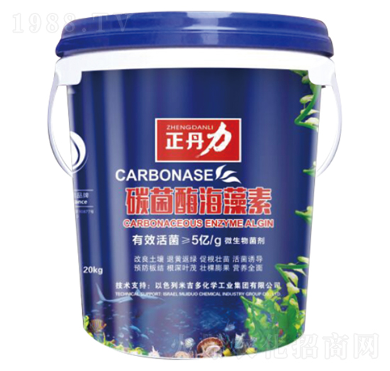 ̼��ø������-������-���P�