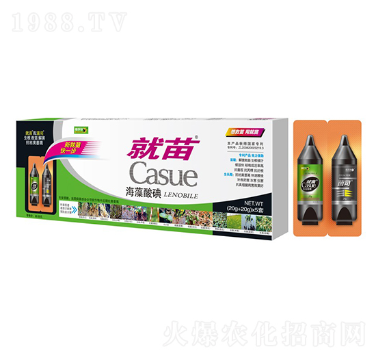 �������-����-���ڠ�