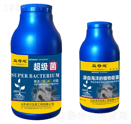 ����(j��)��-��ĸ��-׿������