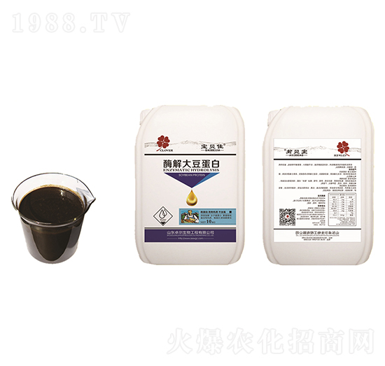 ø��󶹵���-׿������