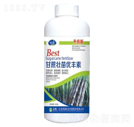 1000g������烞(y��u)�S��������-�sҫ�r(n��ng)�I(y��)