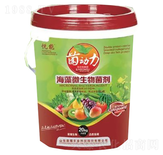 ����΢�������-�sҫ�r(n��ng)�I(y��)