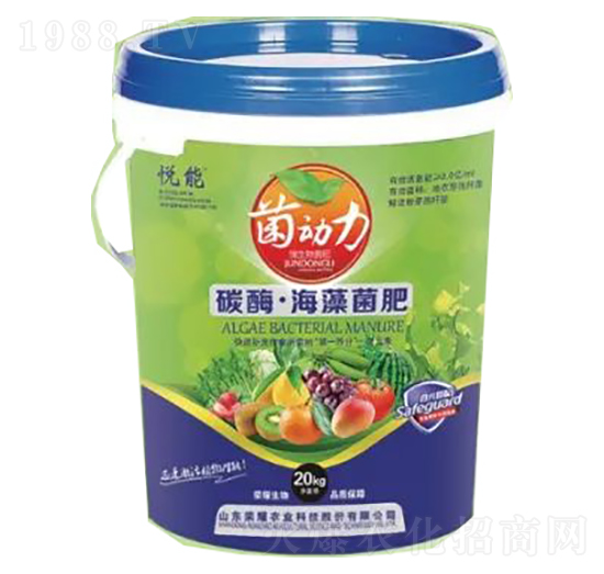 ̼ø���������-�sҫ�r(n��ng)�I(y��)