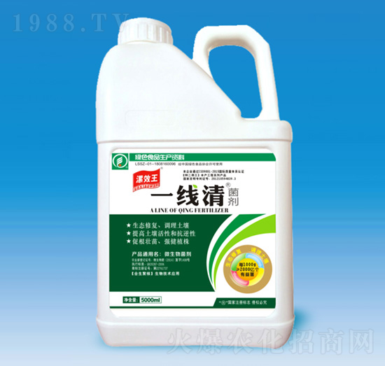 �������-���x��-�N������