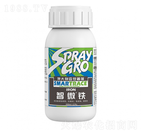 ������-��ţ�r�I(y��)