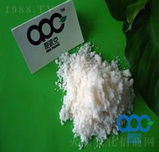 ������-��(��i)�ɿ�