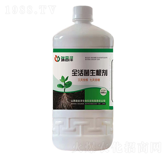 ȫ���������-��������