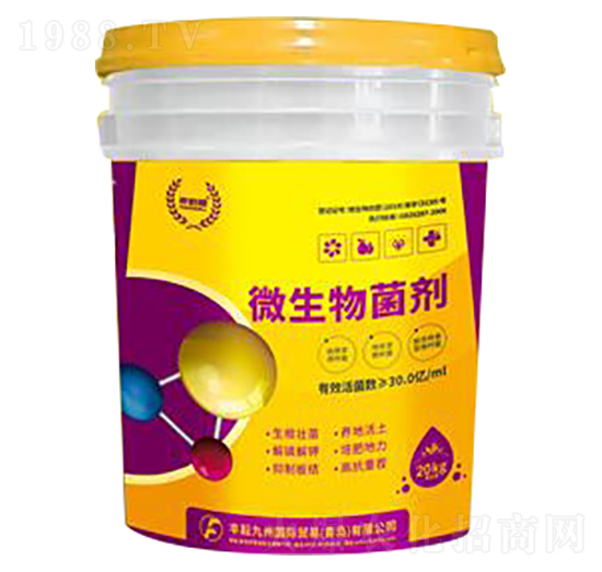 20kg΢�������-�S�ž���