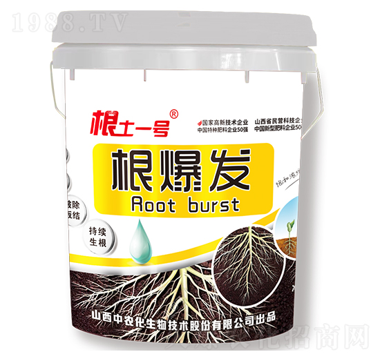 �����l(f��)-����һ̖(h��o)-���r(n��ng)��