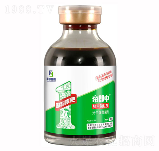 ������-��ϼ�(x��)������-��(gu��)��Ҽ��