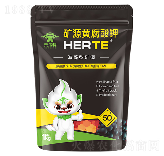 �����͵VԴ�S�����-�̠���