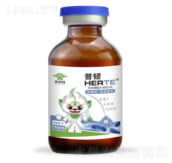 �����ġ����ߵ���-���g-�̠���