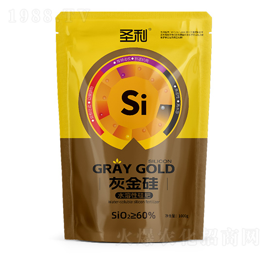 �ڽ��ˮ���Թ��-ʥ��-�����r(n��ng)�I(y��)