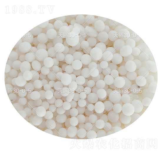 ����������(f��)�Ϸ��ϣ��w����30-0-5-���v����