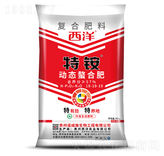 �ӑB(t��i)���ϏͺϷ���19-19-19-���@-�Z��ʩ����