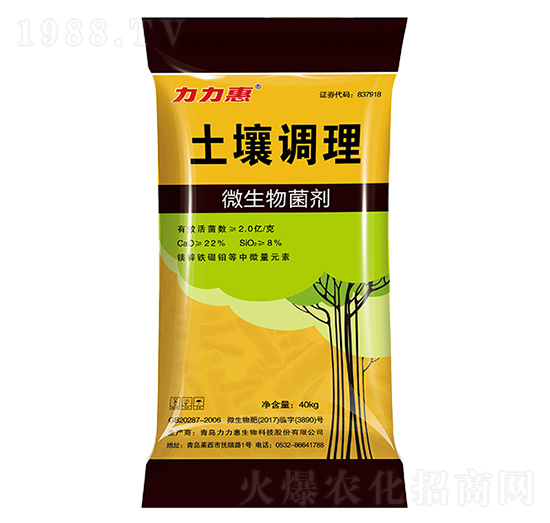 �����{��΢�������-����������