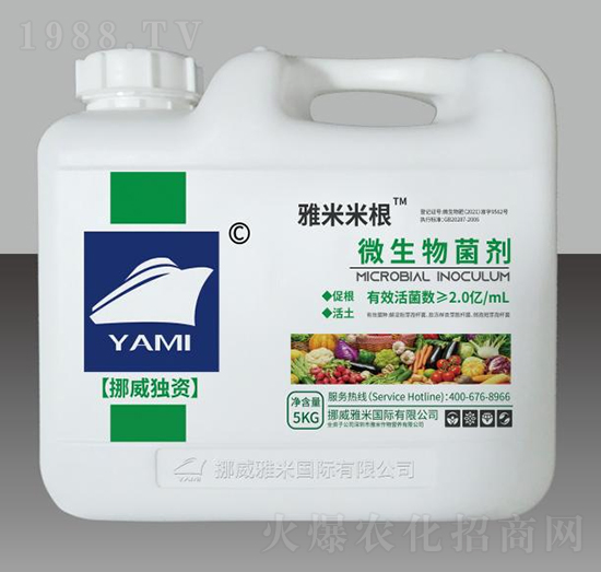 ΢�������-�����׸�-�����r�I(y��)