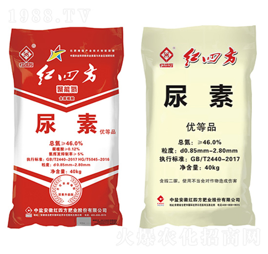 ����-�t�ķ�