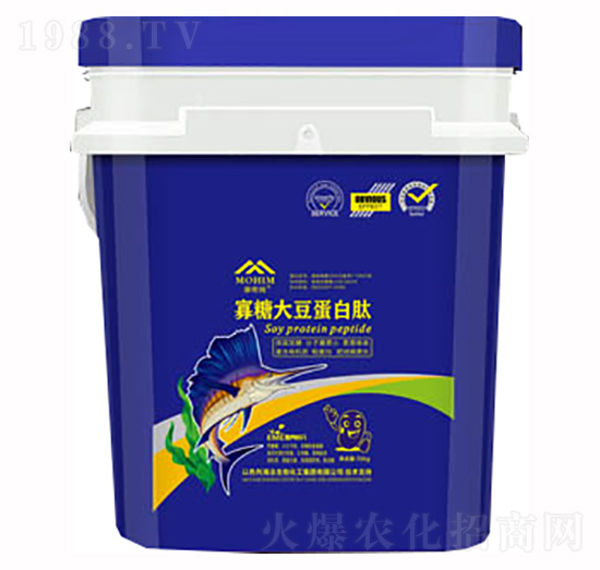 ���Ǵ󶹵����ģ��{(l��n)��-�����S