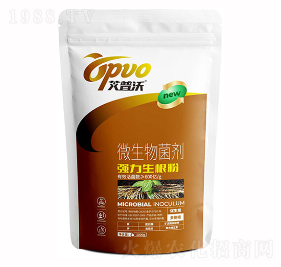 ����������-�I(y��)�r(n��ng)