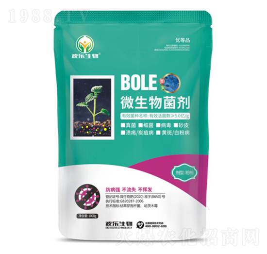 ΢�������-��������