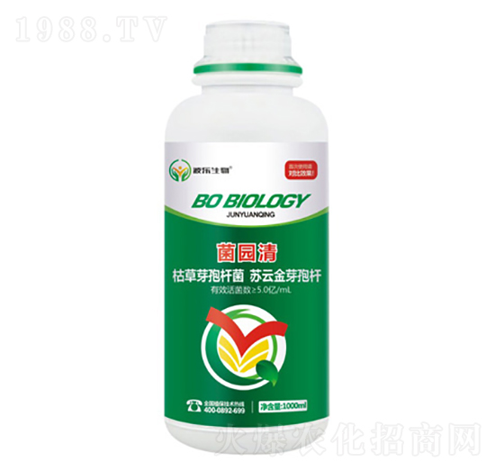 ΢�������-���@��-��������