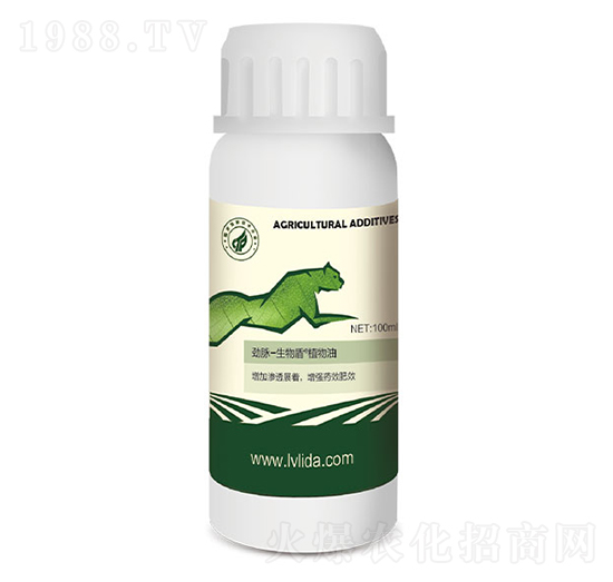 ֲ����-���}�����-�G���_(d��)