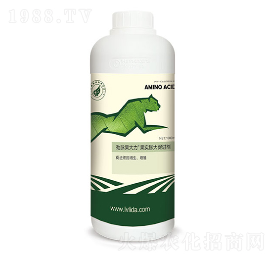 ���������M��-���}������-�G���_