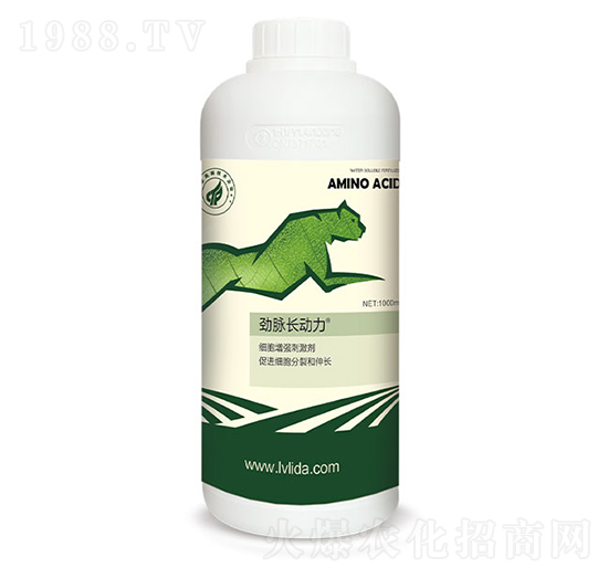 ��(x��)������(qi��ng)�̼���-���}�L��(d��ng)��-�G���_(d��)