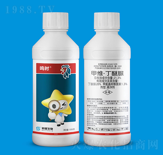 21.3%�׾S��������-�Q�r-��������