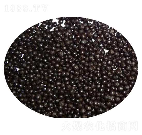 ţ�S�ЙC(j��)�ʣ��w����-�r(n��ng)��ʘI(y��)