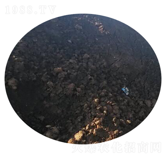 ţ�S�ЙC��-�r(n��ng)��ʘI(y��)