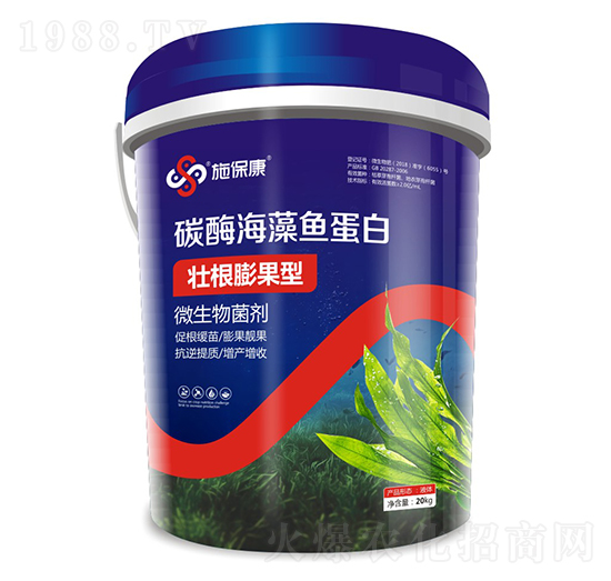 �Ѹ������̼ø�����~����-ʩ����