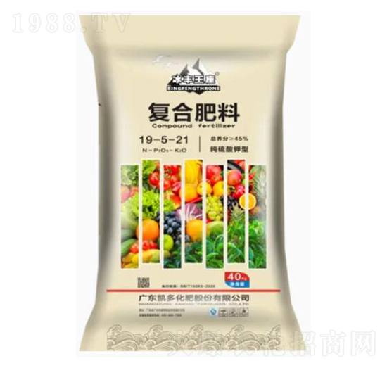 ��������͏�(f��)�Ϸ���19-5-21-���S����-�P�໯��