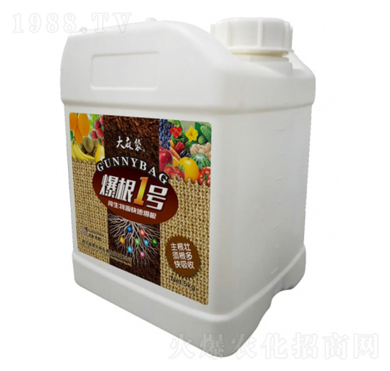 ����1̖-�����-���v����