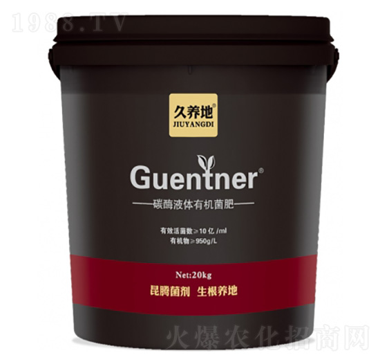 ̼øҺ�w�ЙC����-���B(y��ng)��-���v����