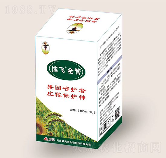 ��B��-���wȫ��-������-������