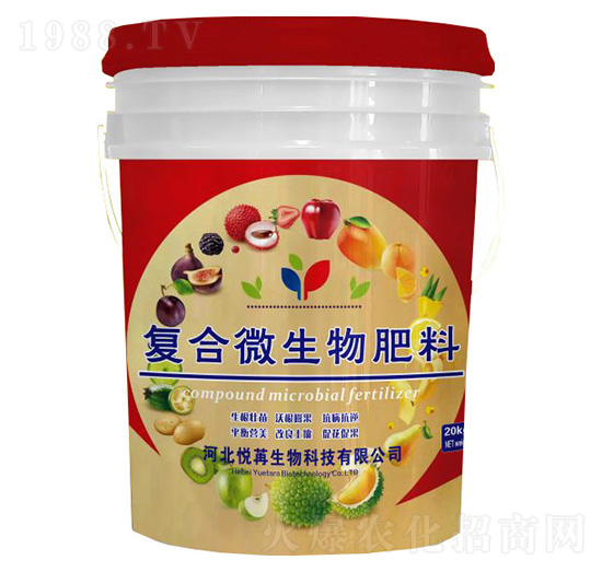 �ͺ�΢�������-����