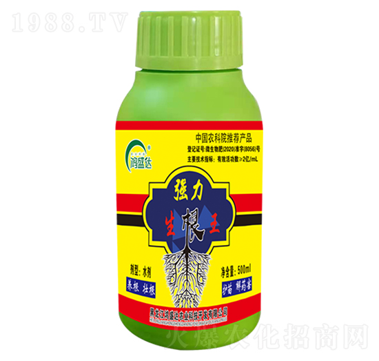 ����������-��ʢ�_