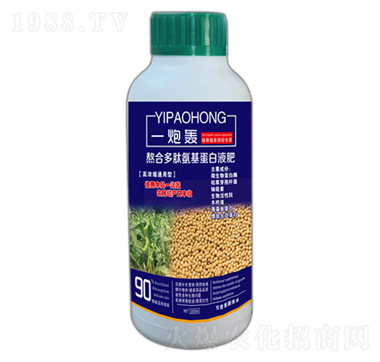 һ���Z-��ʢ�_(d��)