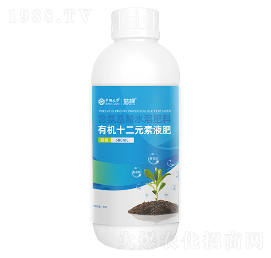 �ЙC(j��)ʮ��Ԫ��-���