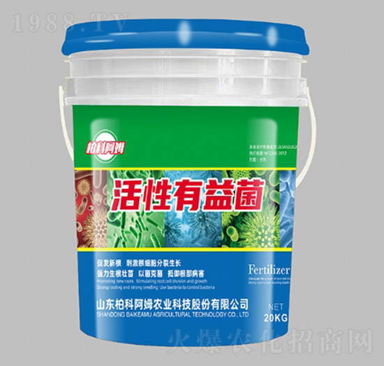 ���������-�ؿư�ķ