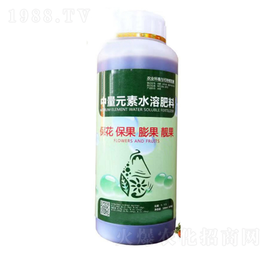 ���������n�������-���_����