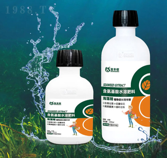 ���徫ֲ����L(zh��ng)���AҺ-���S��