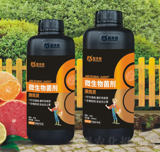 ΢�������-�����`-���S��