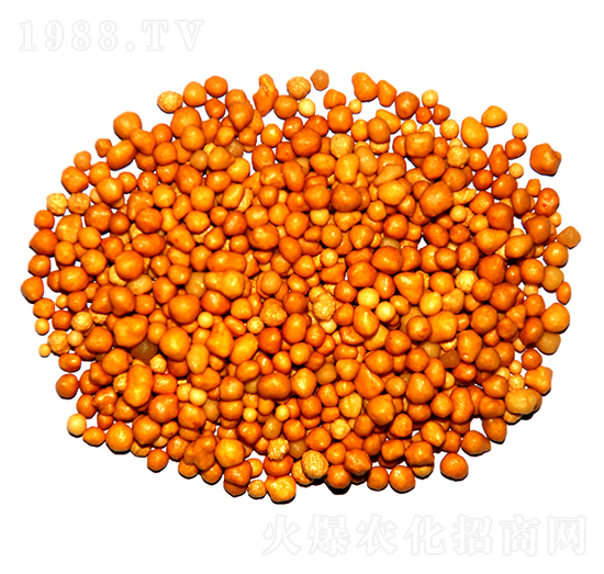 ����n�w����ጷ�15-7-13-ïʩ����